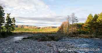 Why helping a river to 'wander' should be good news for local people - and wildlife
