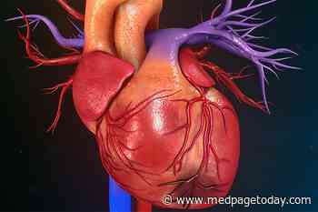 In Behcet's, Watch for CV Risks