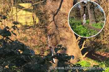Fears over 'masturbating man' spotted hiding behind trees in Lewisham