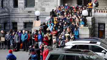 Injunction bars protesters from shutting down B.C. Legislature on Friday