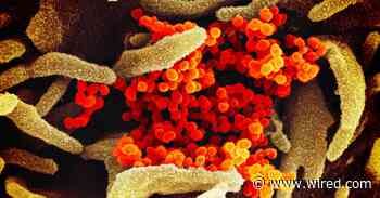 Darpa Cranks Up Antibody Research to Stall Coronavirus