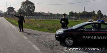Carabinieri, controlli <br /> intensificati nel territorio <br /> di Asola contro furti e rapine... - OglioPoNews