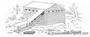 Wellesley entrepreneur has ice in his veins, in his fridge, in his drinks, in... - The Swellesley Report