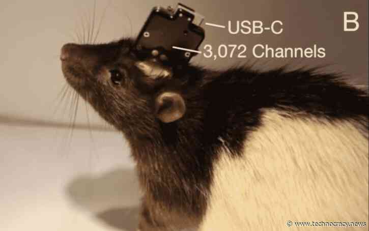 Neuralink: Elon Musk Ready To Connect Human Brain to Computer