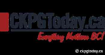 Toronto lawyer Leslyn Lewis becomes official candidate for Conservative leader - CKPGToday.ca