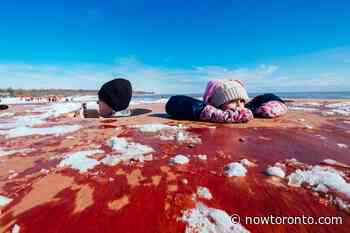 The best events in Toronto on Family Day Weekend 2020 - NOW Magazine