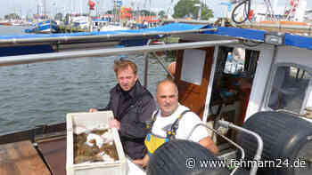 Fischereibeihilfen aufgestockt - fehmarn24.de
