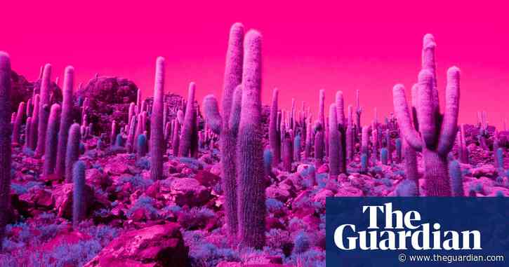 Hyperphantasia: a trip through the California desert – in pictures