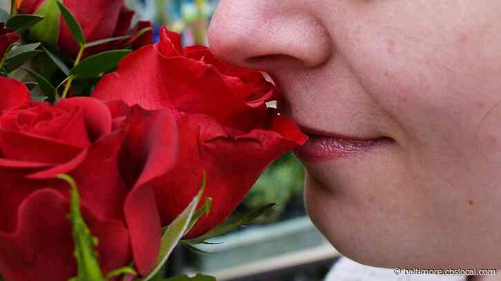 Shoppers Estimated To Spend Over $27 Billion This Valentine’s Day, National Retail Foundation Says