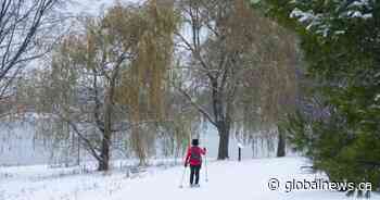 What’s open, what’s closed in Ottawa on Family Day 2020 - Global News