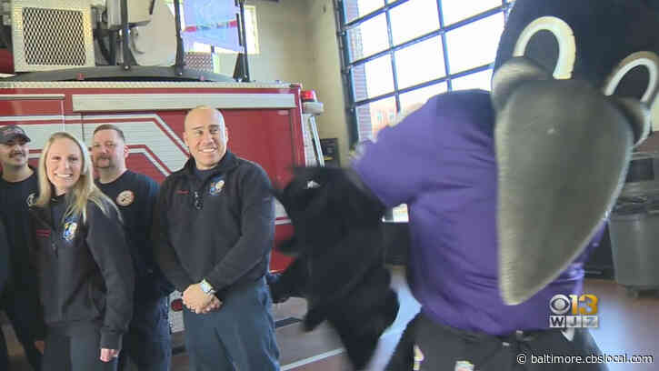‘That Was Awesome’ | Ravens, Mascot Poe Spend Valentine’s Day With Local First Responders