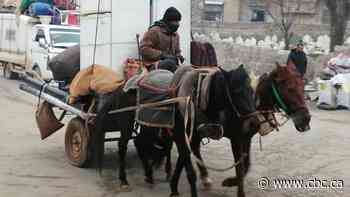 'The regime has bombed everywhere': Syrians fleeing opposition enclave seek safety at Turkish border