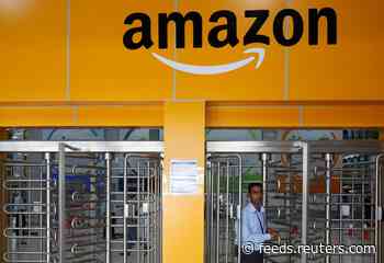 India court stalls Amazon, Flipkart antitrust probes: lawyers