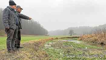 Versinkt die Schambach im Schlamm? - donaukurier.de