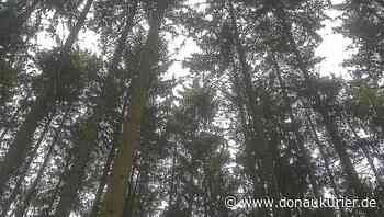 'Unser Wald ist krank' - donaukurier.de