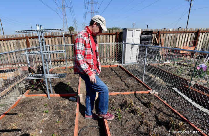 Retired federal investigator now digging into his own community garden mystery