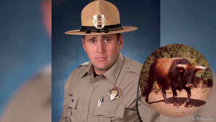 DPS trooper speaks about saving man who was gored, trampled by a bull in Benson