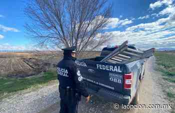Asegura patrulla fronteriza 9 escaleras en puente de Guadalupe a Tornillo - La Opcion