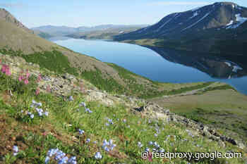 A Different Kind of Climate Refugee