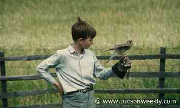 Things to do, This Weekend, Feb. 15 -16