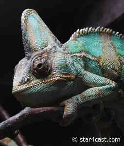 Boris’s chameleon cabinet – more of the same  ** updated