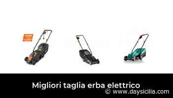 Migliori Taglia Erba Elettrico 2020 – Dopo 203 ore di ricerche e test - DaySicilia