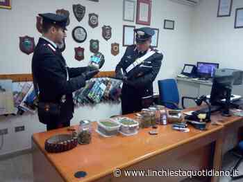 In casa nascondeva mezzo chilo di “erba”, 26enne in manette - L'Inchiesta Quotidiano OnLine