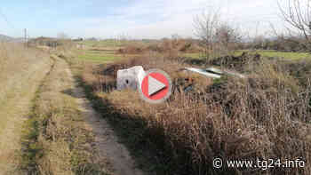 Anagni – Tra l'erba centinaia di vasi in plastica (video) - TG24.info