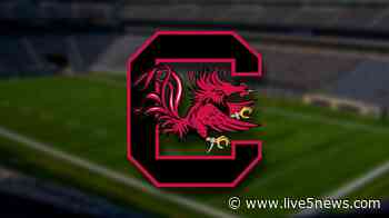 Gamecocks add 2 to coaching staff - Live 5 News WCSC