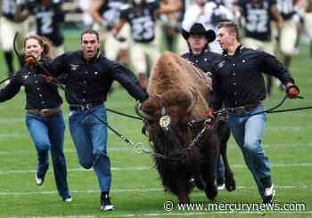 Colorado’s coaching search: The ideal model, a list of names and one shot in the dark-turned-light - Pacifica Tribune