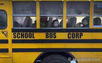 Transport Canada to launch school bus seatbelt pilots in Sudbury, Ont., and B.C.
