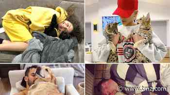 Celebs Cuddling Furry Friends ... Pawesome!