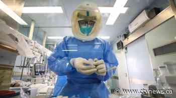 New virus cases fall; WHO says China bought the world time
