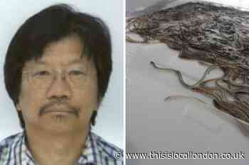 Chessington seafood salesman guilty of smuggling £53 million of endangered live eels
