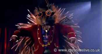 Who is Hedgehog on The Masked Singer? Act accused by viewers of deliberately giving confusing clues