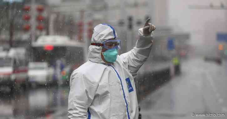 New virus cases fall; WHO says China bought the world time