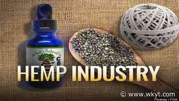 Hemp industry continues to grow in KY; Could medical marijuana be next? - WKYT