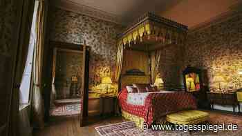 Tricksereien und Verbrechen: Airbnb will alle seine sieben Millionen Unterkünfte überprüfen - Tagesspiegel