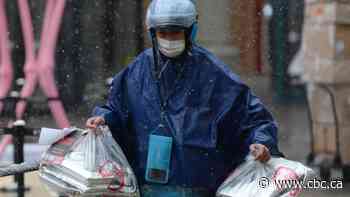 What you need to know now about the coronavirus: International investigation begins this weekend