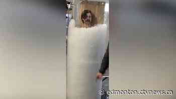 Edmonton firefighter adds 'ice coffin' to rooftop campout challenge - CTV News