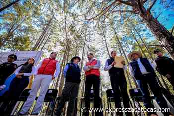 Se trabaja en la preservación del águila real: Tello - Express Zacatecas