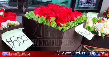 "Cupido" duplica costos de flores en Altamira; la docena cuesta 260 - Hoy Tamaulipas