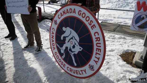 Protesters gather outside Chinook Centre for anti-fur day