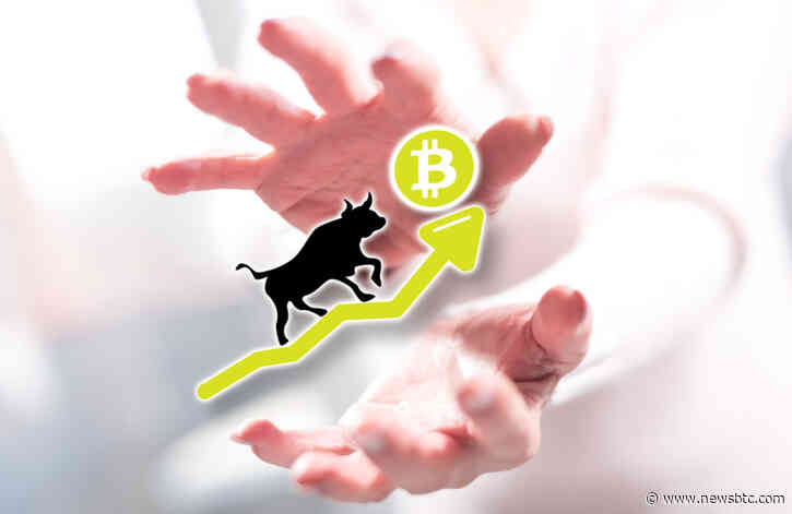 Bitcoin Highly Bullish Despite Selloff; Here’s What Could Propel it to $11,000