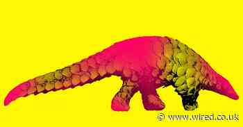 Bats, snakes or pangolins? Inside the hunt for the animal behind the coronavirus outbreak