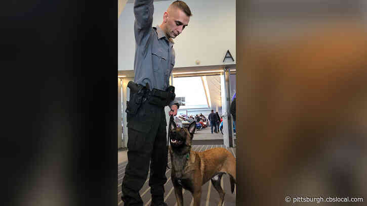 Pa. State Police K9 Benny Greets Patrons At Pittsburgh Auto Show