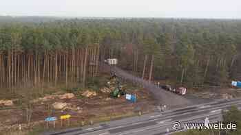 Gericht stoppt Rodungsarbeiten für Tesla-Fabrik