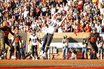 2020 Baltimore Ravens: Confidence level by position - Ebony Bird