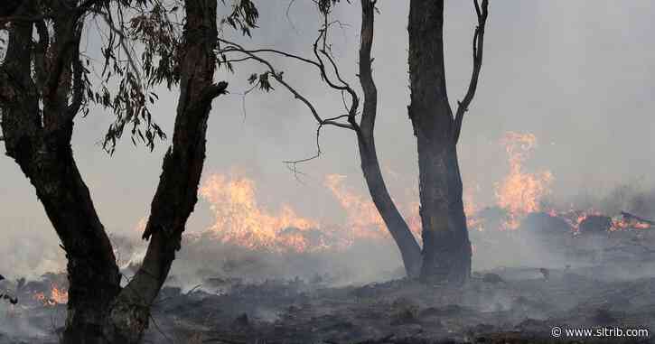 Letter: More must be done to save the climate