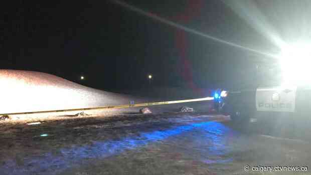 Teen stabbed in Calgary dog park while walking with mother